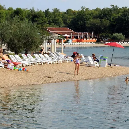 Nyaraló Family Friendly House With A Swimming Pool Vardica, - 21452 *